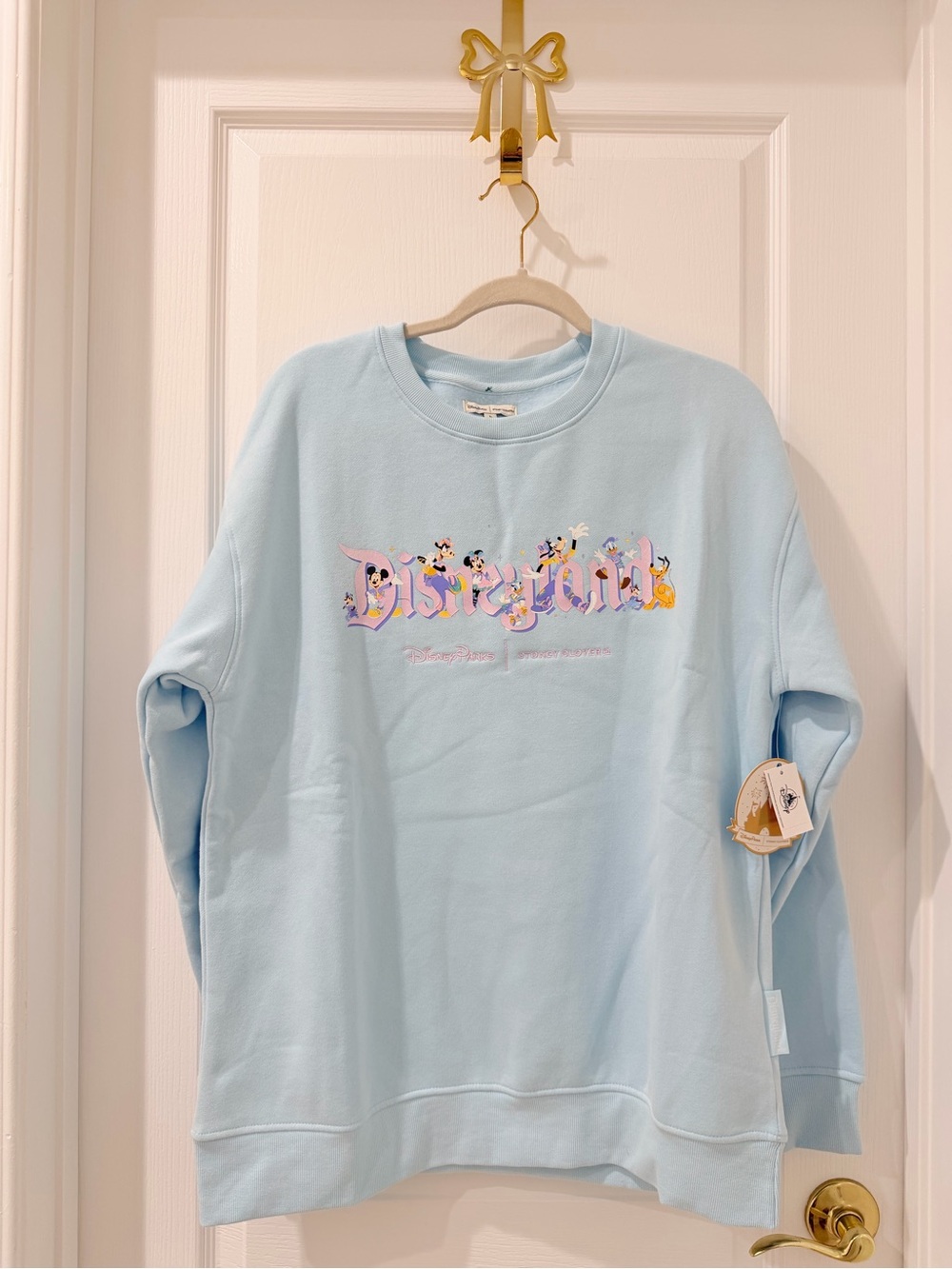 Disney Pastel Blue Women Sweatshirt with Character Logo